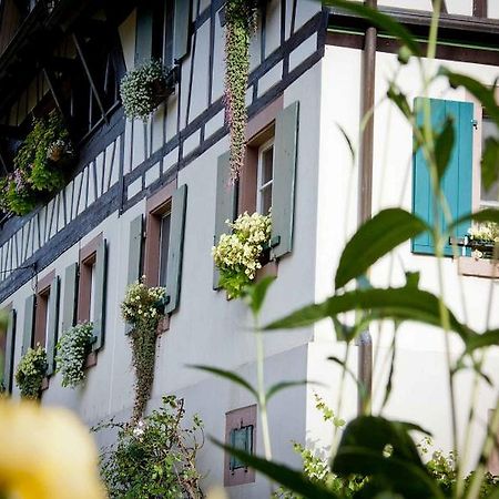 Weingut Alfred Huber Apartment ดัวร์บาค ภายนอก รูปภาพ