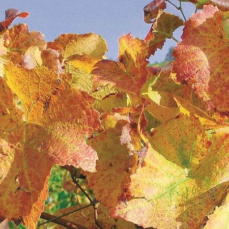 Weingut Alfred Huber Apartment ดัวร์บาค ภายนอก รูปภาพ