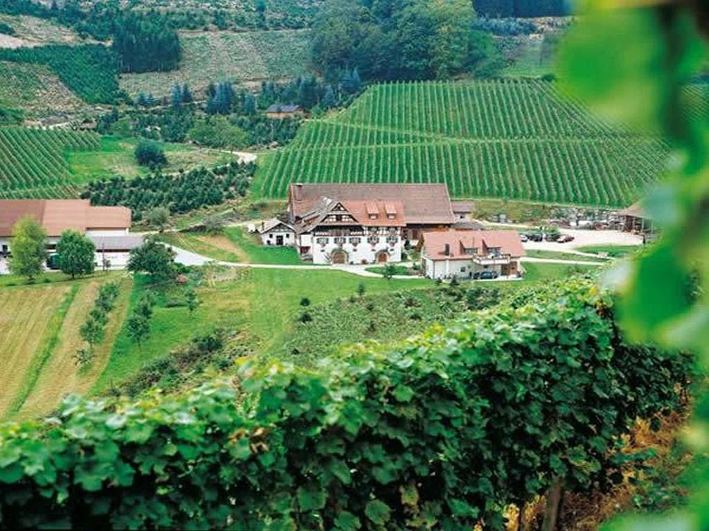 Weingut Alfred Huber Apartment ดัวร์บาค ภายนอก รูปภาพ
