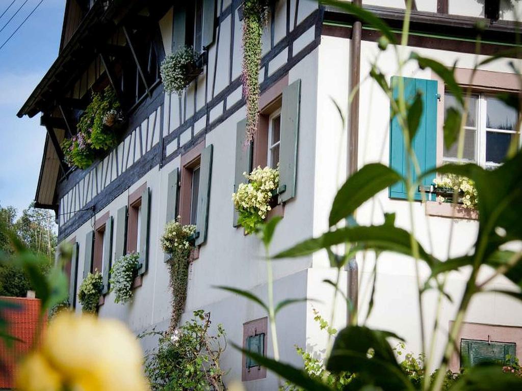 Weingut Alfred Huber Apartment ดัวร์บาค ภายนอก รูปภาพ