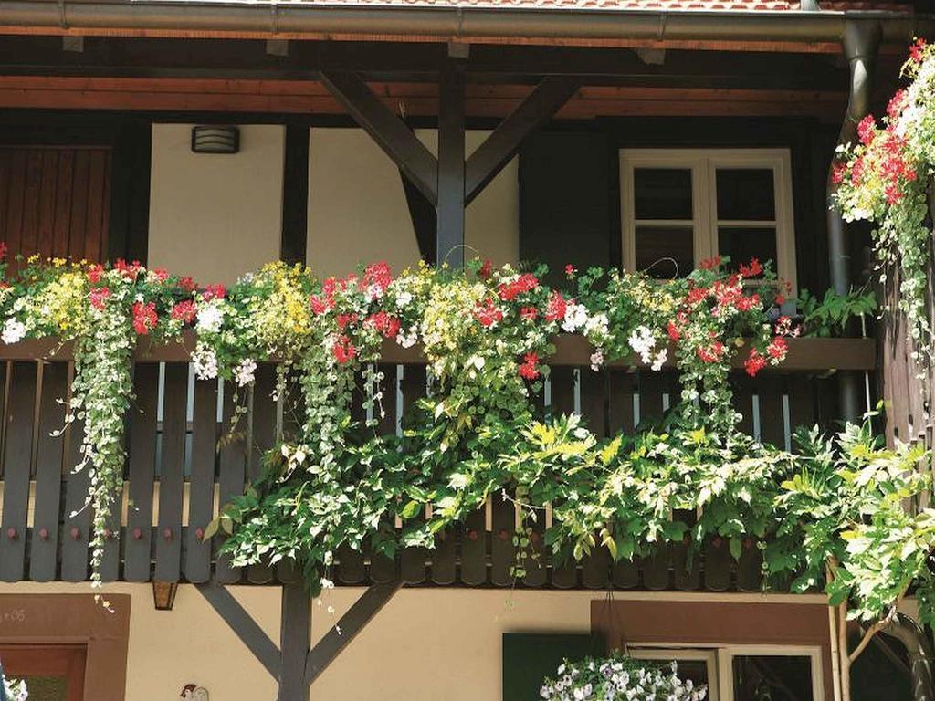 Weingut Alfred Huber Apartment ดัวร์บาค ภายนอก รูปภาพ