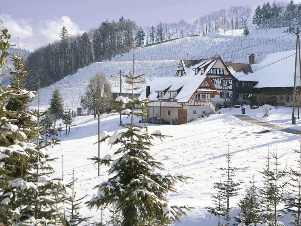 Weingut Alfred Huber Apartment ดัวร์บาค ภายนอก รูปภาพ